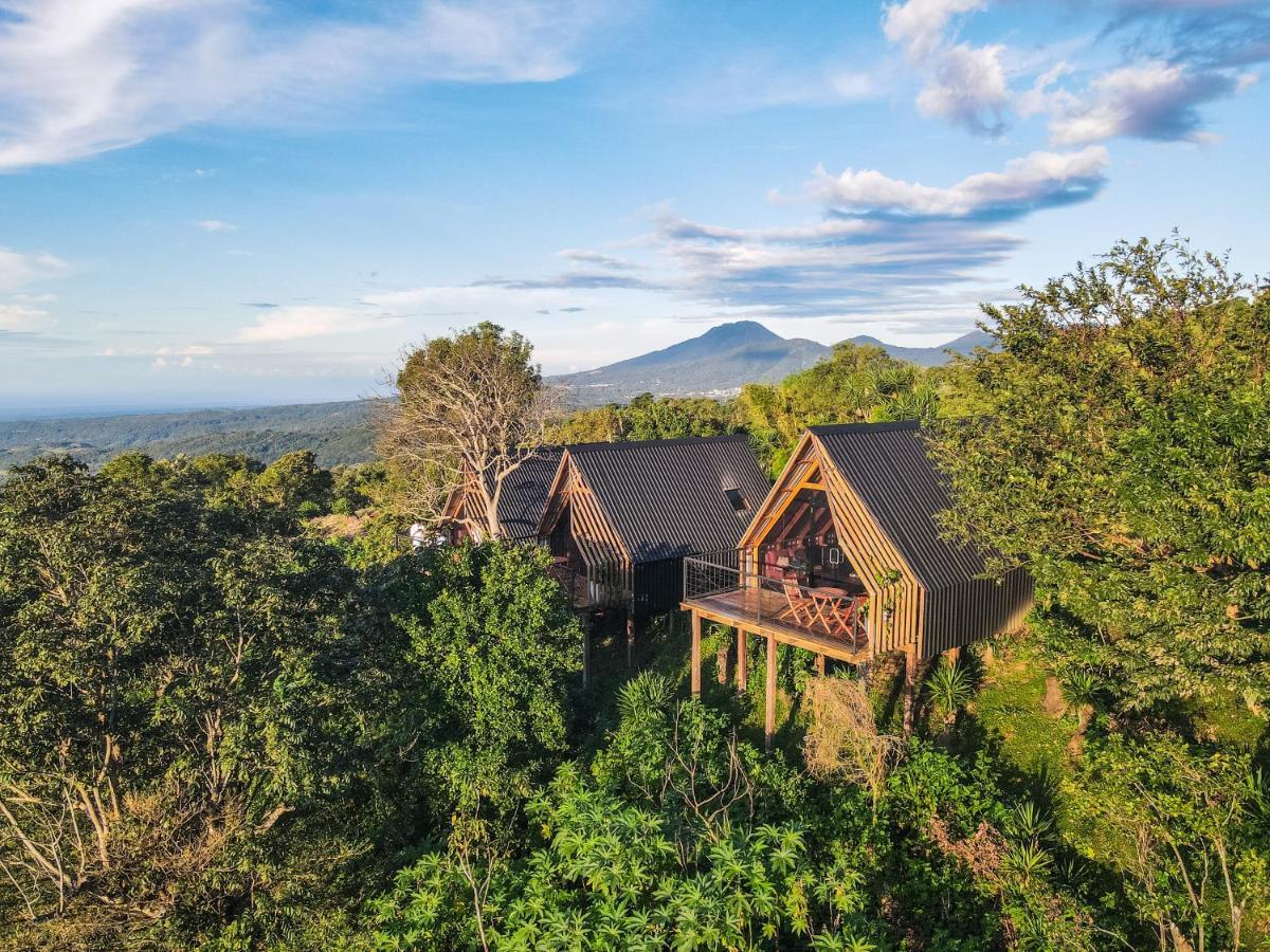 Casa 1800 Los Naranjos Boutique Hotel Dış mekan fotoğraf